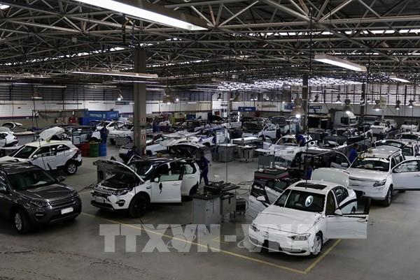 Xuất khẩu ô tô Brazil tăng hơn 51% trong 9 tháng, vượt cả năm 2024