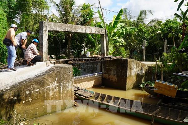 Đê bao Đồng Tháp được gia cố ứng phó triều cường