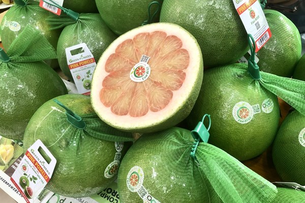 Bưởi, chanh “mở khóa” thị trường: Cơ hội lớn từ chuẩn hóa sản xuất