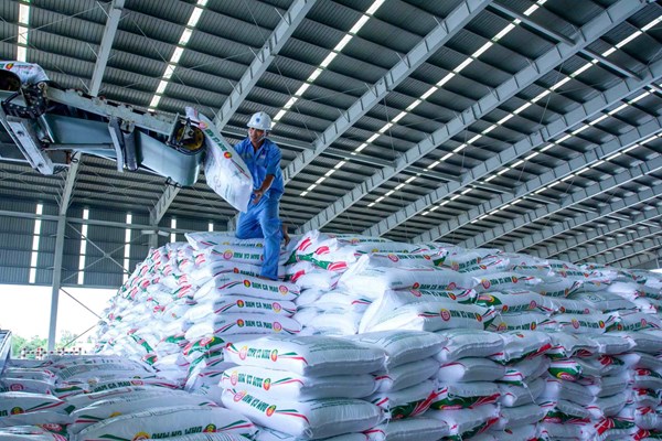 Lợi nhuận 9 tháng năm 2025 của PVCFC tăng gần 50% so với cùng kỳ