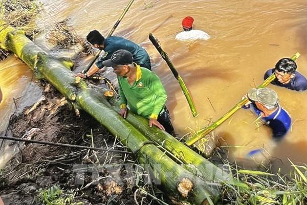 Đồng Tháp chủ động "giữ vườn, giữ nhà” giữa triều cường