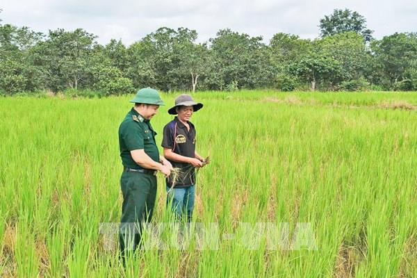 Từ ruộng lúa biên cương đến thế trận lòng dân vững chắc