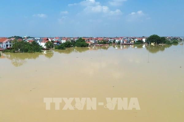 Đảm bảo an toàn đê điều trên sông Cầu, sông Thương, sông Cà Lồ
