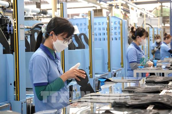 9 tháng, số doanh nghiệp đang hoạt động tại Cần Thơ tăng 40%