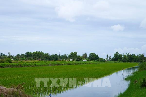 Giảm phát thải - “giấy thông hành” mới cho nông sản Việt