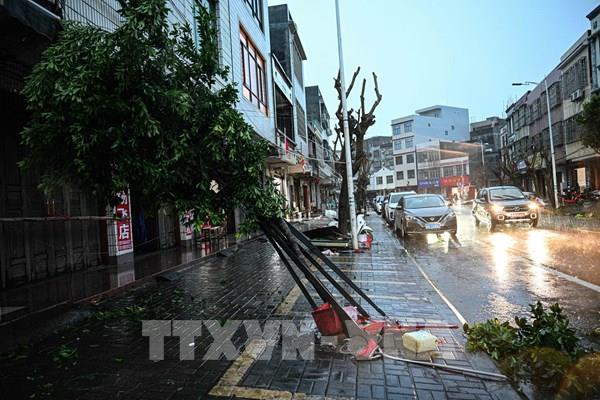 Trung Quốc hỗ trợ thu mua lương thực tại các khu vực bị mưa lũ