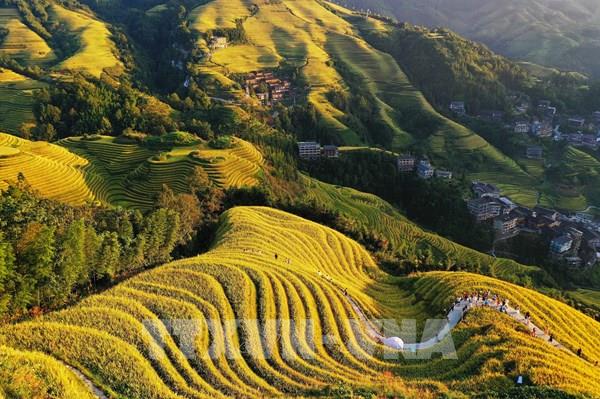 Chiêm ngưỡng cảnh đẹp mùa thu trên thế giới