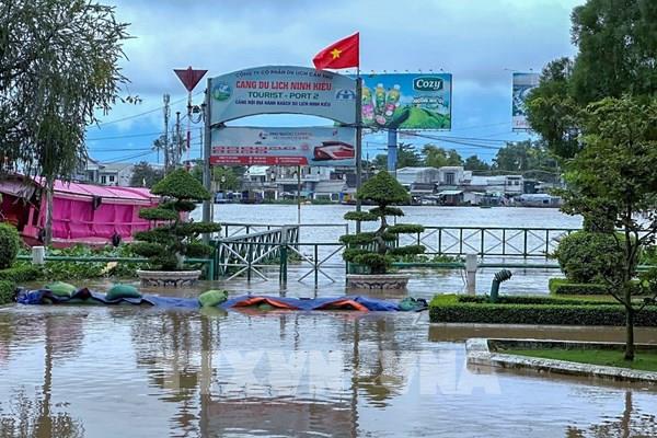 Cần Thơ sẽ cải tạo bến Ninh Kiều để chống ngập