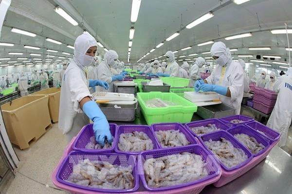 Diện mạo mới cho dòng chảy hội nhập