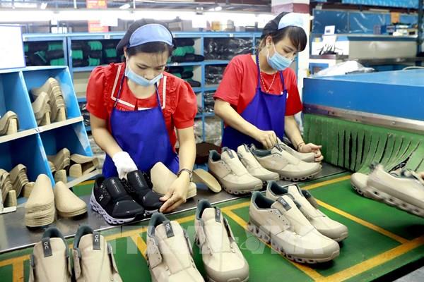 4 trụ cột chính cho Chương trình GoGlobal tại Việt Nam