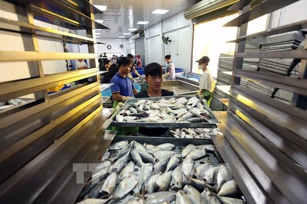 Doanh nghiệp chủ động ứng phó, duy trì chuỗi xuất khẩu