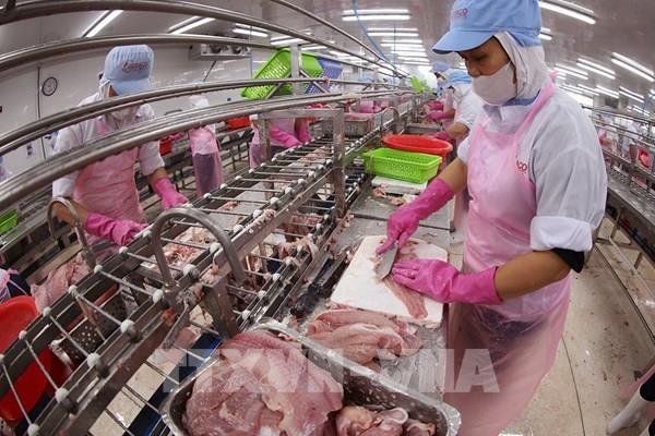 Mở đường xuất khẩu để đón sóng tăng trưởng