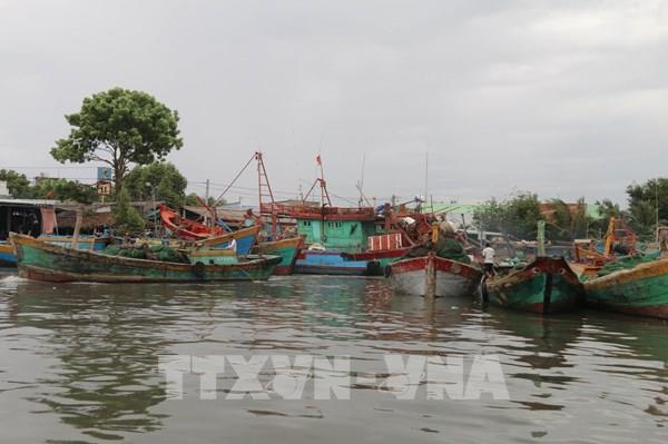 Đồng Tháp siết chặt quản lý đội tàu, quyết tâm gỡ “thẻ vàng” IUU