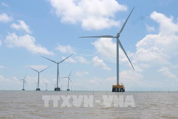Cà Mau sẽ có thêm 61,5 triệu kWh điện gió vào cuối năm 2026