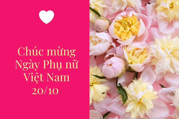 Lời chúc 20/10 dành tặng cô giáo đầy trân trọng và biết ơn