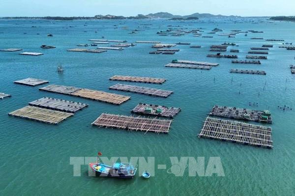 Đắk Lắk cơ cấu lại lĩnh vực nuôi trồng thủy sản