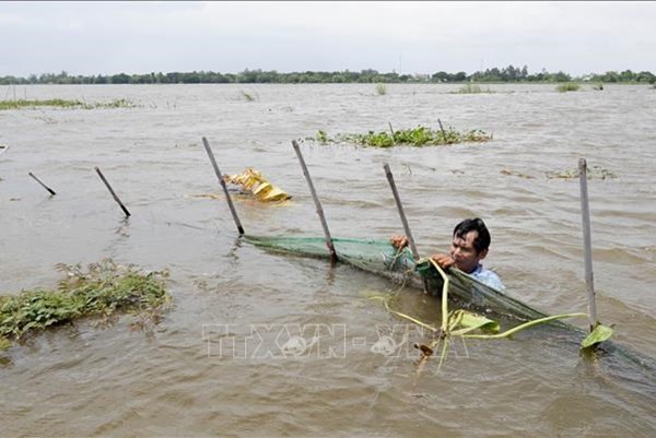 Đề phòng ngập lụt, sạt lở bờ bao tại An Giang, Đồng Tháp, Cần Thơ, Vĩnh Long