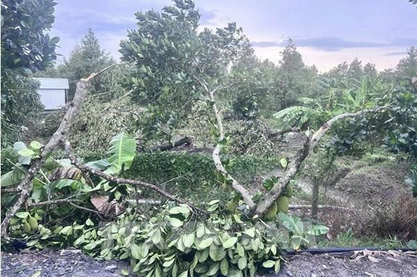 Cục bộ mưa lớn trong đêm, cảnh báo nguy cơ lũ quét, sạt lở đất ở Bắc Bộ và Thanh Hóa 