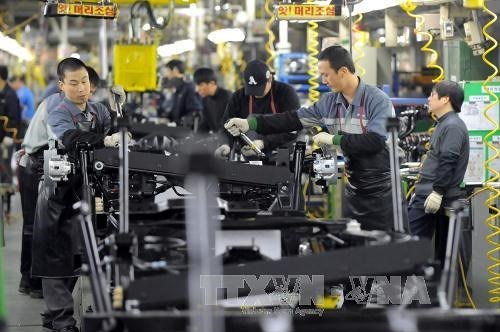 Việc làm Hàn Quốc tăng mạnh nhất trong 19 tháng