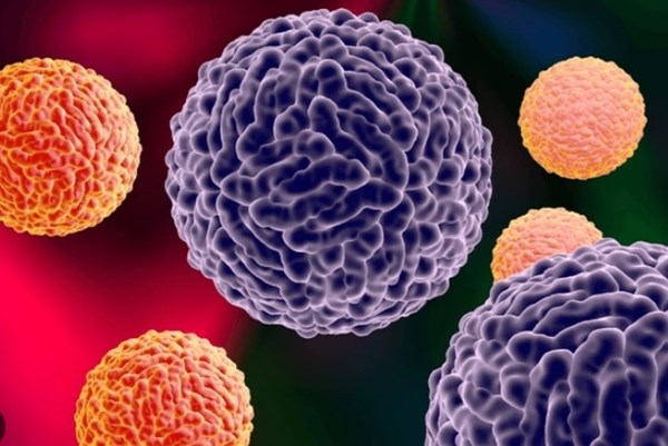 Cuba ghi nhận sự lây lan “phức tạp” của Arbovirus