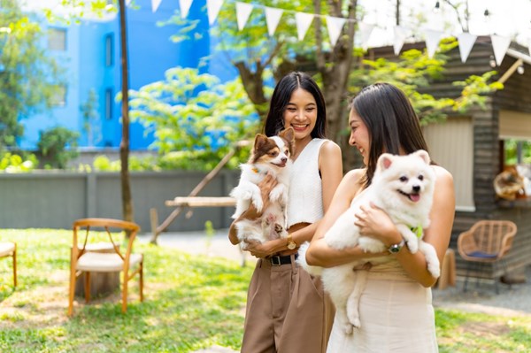 Nở rộ “căn hộ thân thiện với thú cưng” tại Indonesia
