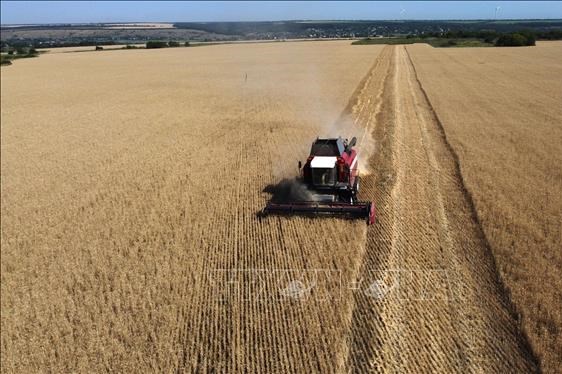  Mỹ cam kết cùng G20 ổn định thị trường lương thực và phân bón