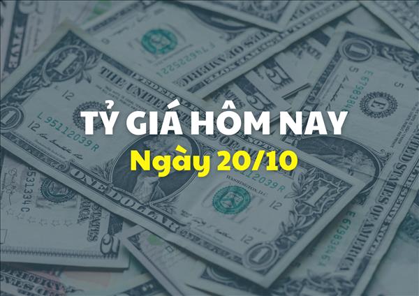 Tỷ giá hôm nay 20/10: Giá bán USD đi ngang, giá NDT giảm nhẹ