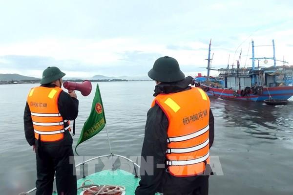 Bão số 12 tiếp tục đổi hướng cách thành phố Đà Nẵng 420 km