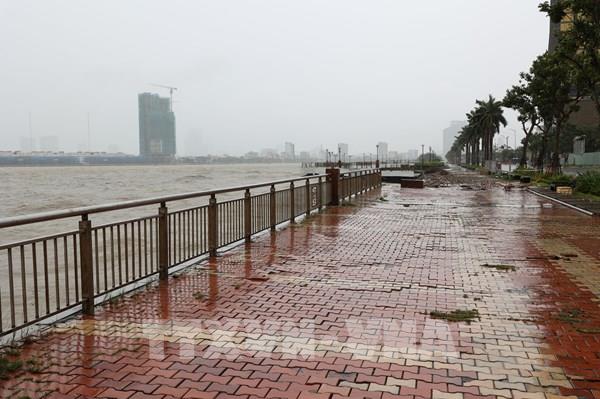 Bão số 12 cách thành phố Đà Nẵng khoảng 310 km