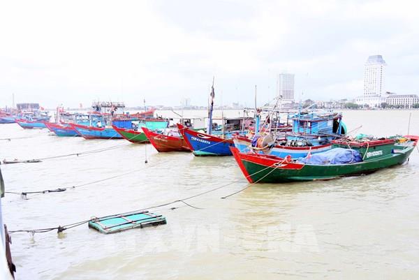 Quảng Trị ứng phó bão số 12 theo phương châm “4 tại chỗ”