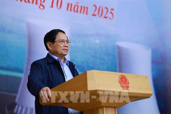 Thủ tướng: Đàm phán xây dựng nhà máy điện hạt nhân trên tinh thần lợi ích hài hòa, rủi ro chia sẻ