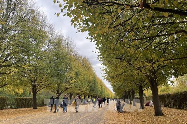 Quyến rũ sắc Thu London