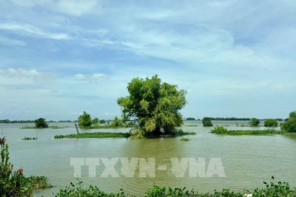 Triều cường ở An Giang đạt đỉnh, cảnh báo ngập úng đô thị