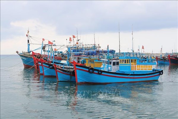 Phát hiện 13 tàu cá tháo thiết bị giám sát để khai thác trái phép ở Quảng Ninh