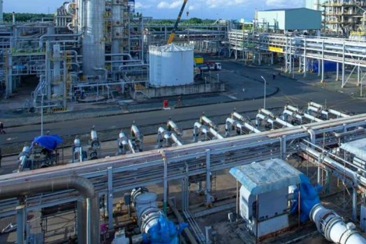 Indonesia sẽ xây dựng 7 nhà máy phân bón, tiến gần mục tiêu tự cung năm 2029