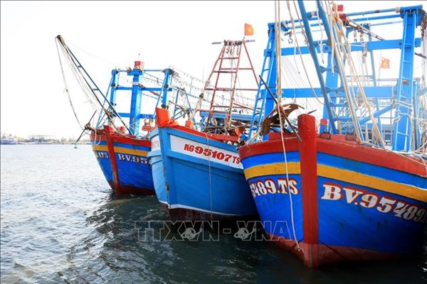 TP. Hồ Chí Minh siết quản lý tàu cá, quyết liệt gỡ “thẻ vàng” IUU
