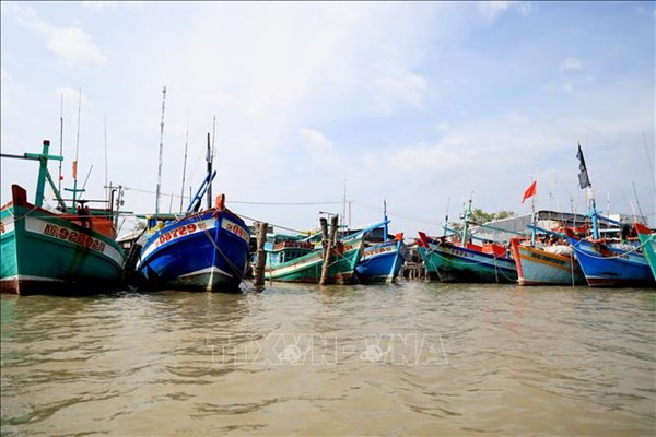 Cà Mau siết chặt quản lý tàu cá, ngăn chặn vi phạm IUU