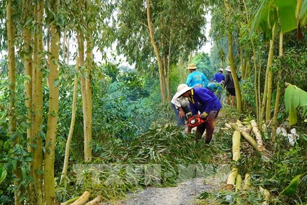 Căng mình chống lũ, giữ sinh kế vùng trũng Đồng Tháp