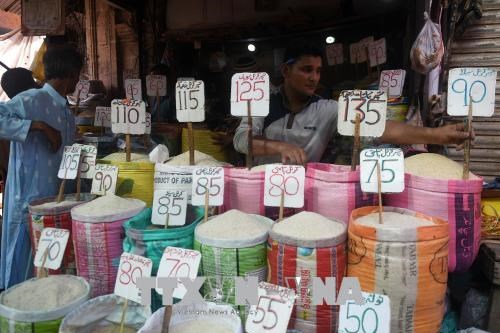 Xuất khẩu gạo của Pakistan sang Trung Quốc tăng mạnh