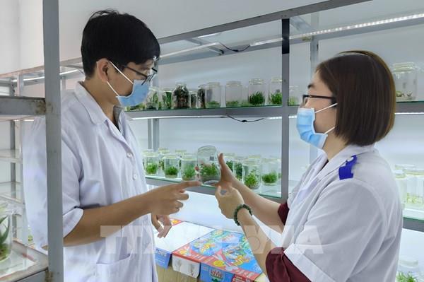 Từ cánh đồng đến nền tảng số: Hành trình tạo giá trị cho nông sản Việt