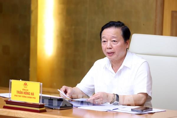 Hoàn thiện cơ sở dữ liệu quản lý khai thác thủy sản “đúng, đủ, sạch, sống”