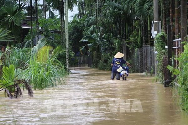Quảng Ngãi: Mưa lũ gây ngập, chia cắt nhiều nơi
