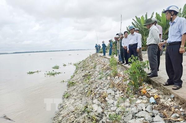 Vĩnh Long chủ động ứng phó sạt lở, bảo vệ "lá chắn” ven sông Hậu