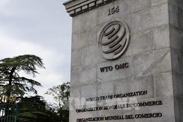 Việt Nam tham gia phiên rà soát chính sách thương mại của Anh tại WTO