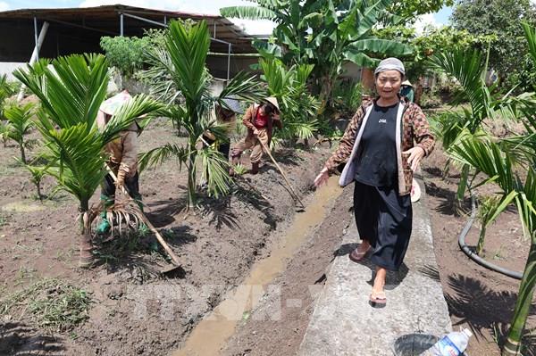 Đảng kiến tạo - Dân đồng hành - Bài 2: Người giữ "tần số" niềm tin giữa đại ngàn Ea K’Tur