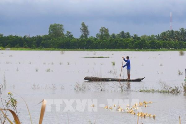 Cần Thơ hỗ trợ phát triển các sản phẩm chủ lực gắn với chuyển đổi số