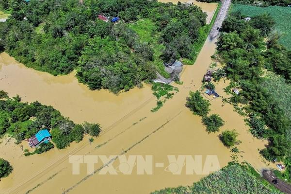 Giải pháp xanh ứng phó ngập lụt đô thị