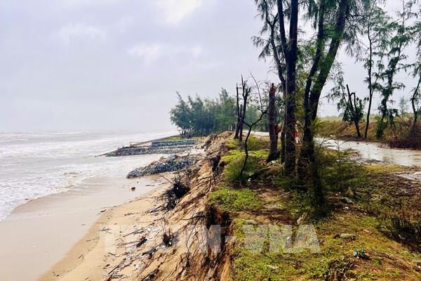 Quảng Trị đề nghị hỗ trợ 250 tỷ đồng khắc phục khẩn cấp sạt lở bờ biển