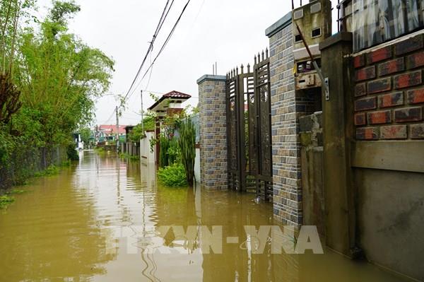 Quảng Trị: Hàng ngàn nhà dân bị ngập nước do mưa lớn kéo dài