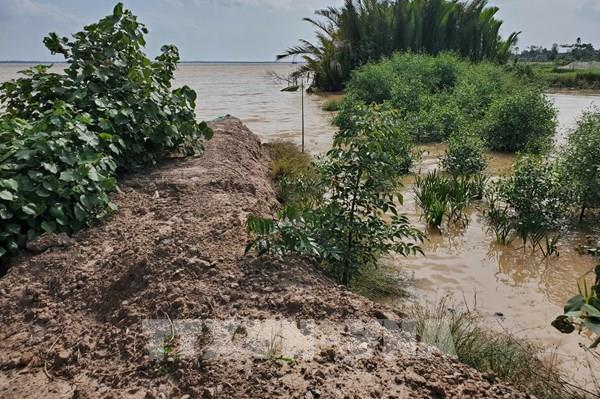 Vĩnh Long bố trí hơn 71 tỷ đồng khắc phục thiệt hại thiên tai